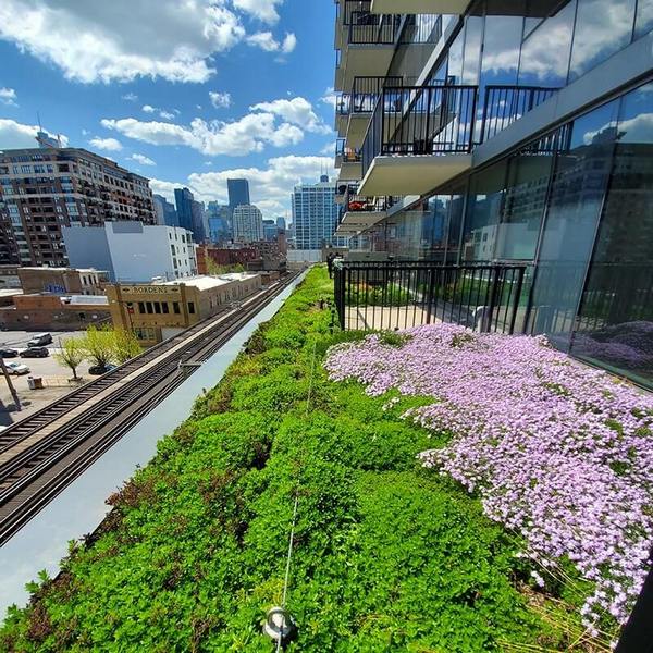Beautiful rooftop garden in springtime with a row of Pro-bel's tie-back anchors and a horizontal lifeline running through it