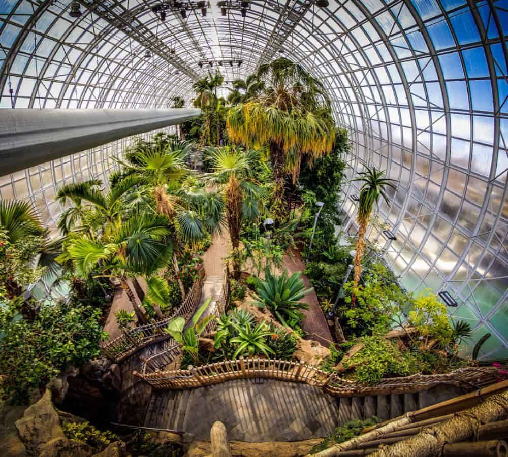 Interior of a botanical garden with lush greenery and open windows. The roof is equipped with permanent roof anchors and window washing davits