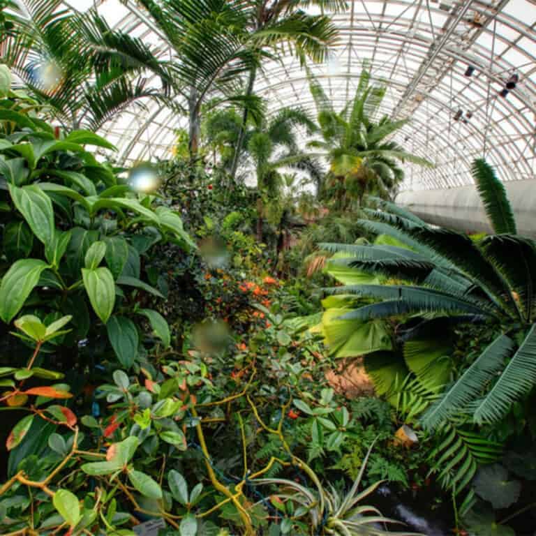 Interior of the Crystal Bridge Conservatory in Oklahoma City